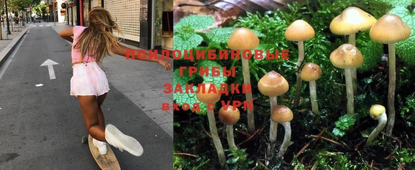 соль курить ск Протвино