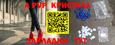 стафф Краснознаменск