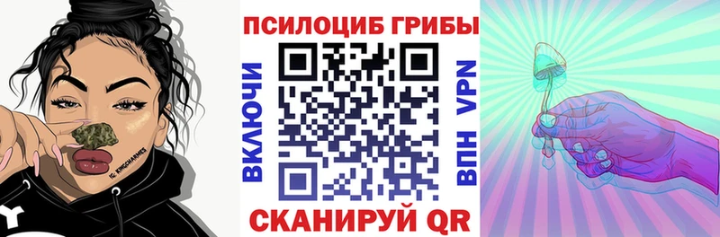 Галлюциногенные грибы Cubensis  что такое наркотик  Канаш 