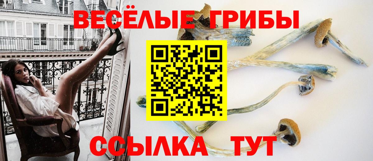 Канаш  Псилоцибиновые грибы мухоморы  Вход с VPN 