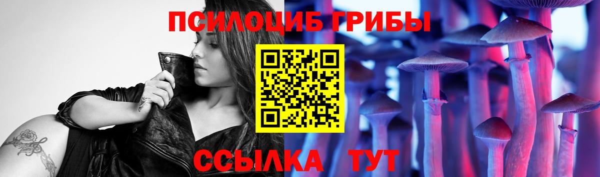 Псилоцибиновые грибы Psilocybine cubensis Канаш