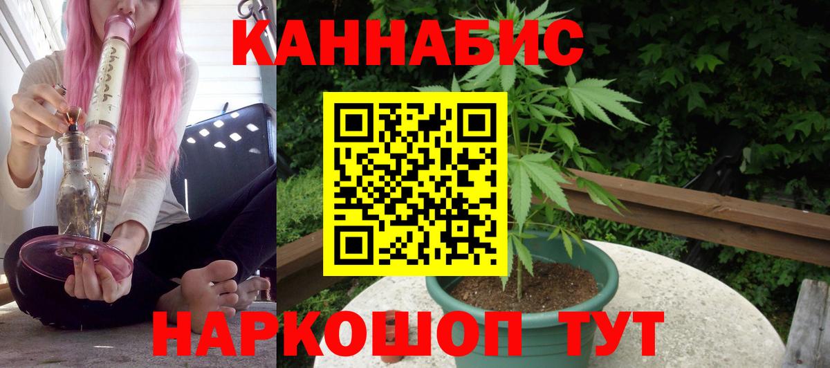 Бошки Шишки тримм Канаш